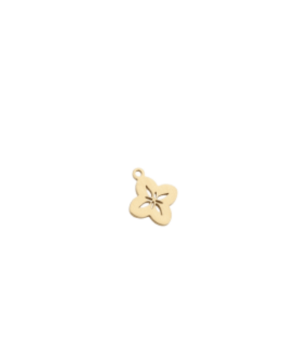 CHARMS mini trèfle déco -Taille M