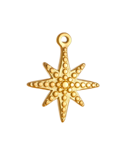 CHARMS mini polaris OR - Taille M