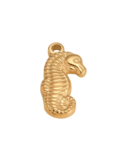CHARMS hippocampe OR - Taille M