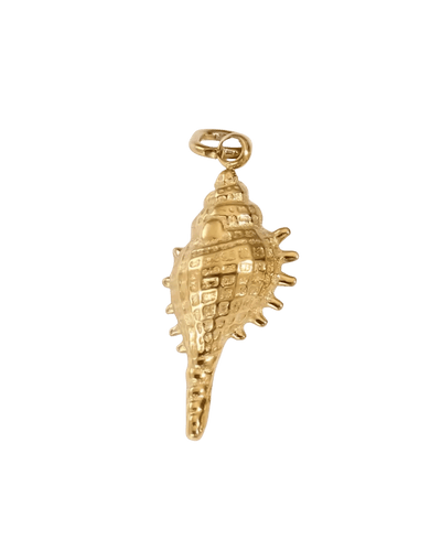 CHARMS coquillage OR - Taille M