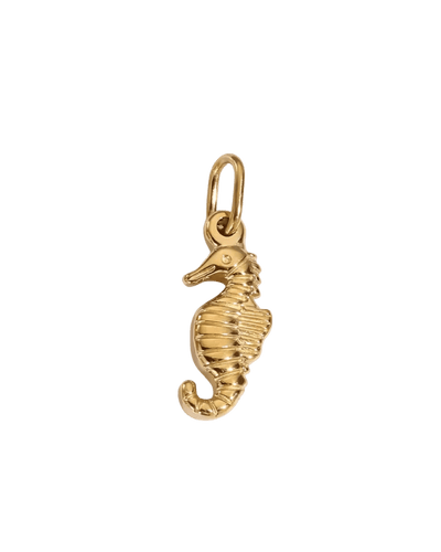 CHARMS hippocampe petit - Taille S