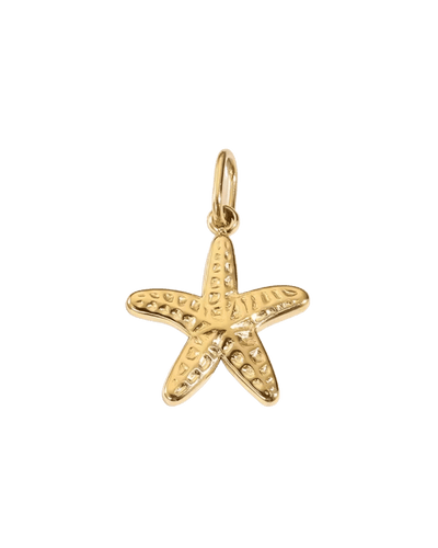 CHARMS étoile de mer OR  - Taille M