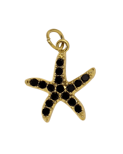 CHARMS étoile de mer noir  - Taille M